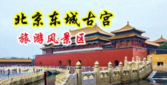 骚妇啊啊视频中国北京-东城古宫旅游风景区